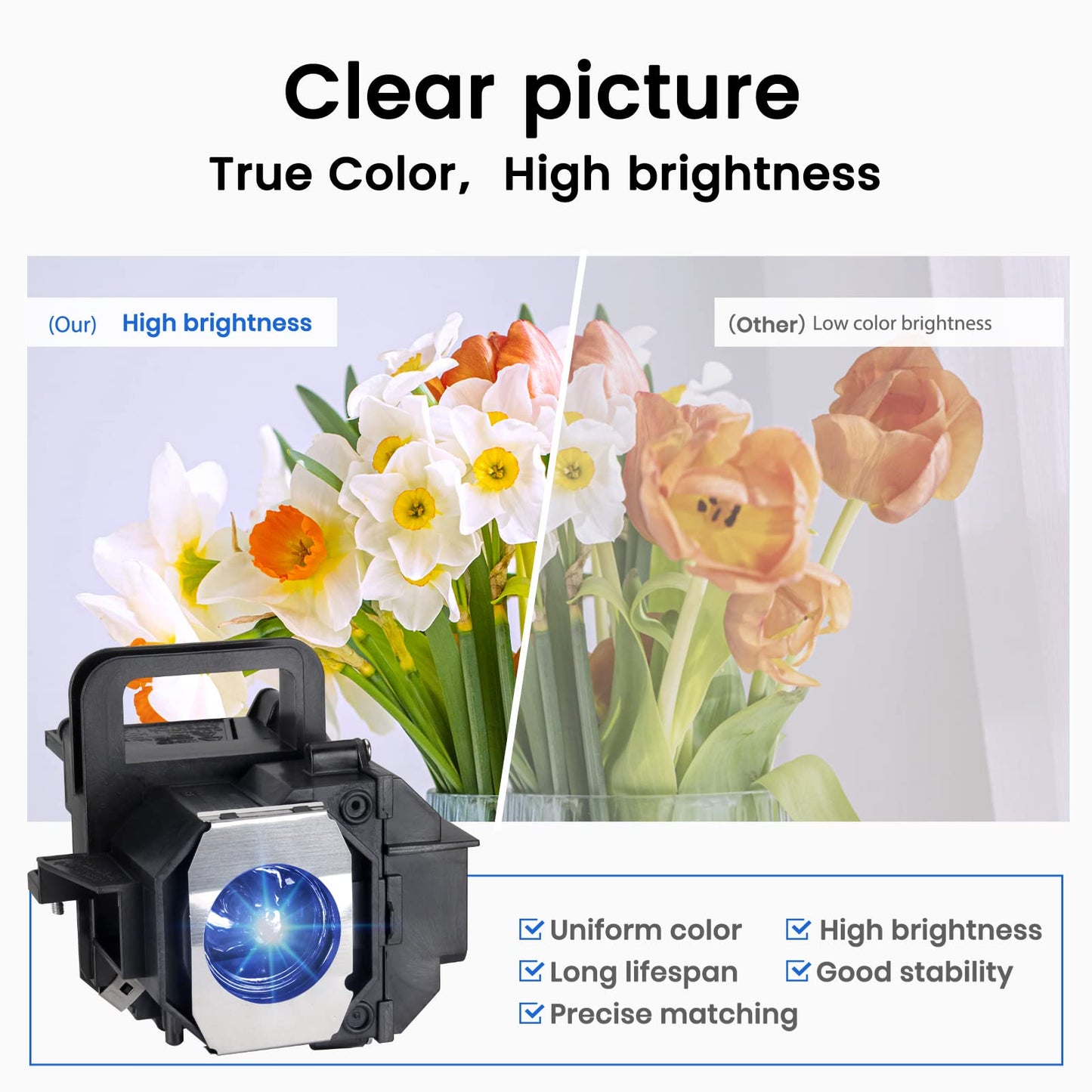 Woprolight V13H010L49 Replacement Projector Lamp with Housing for Epson Elplp49 PowerLite Home Cinema 8350 /PowerLite Home Cinema 8700UB 8500UB, H373A