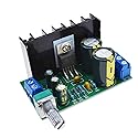 Reland Sung TDA2050 DC 12-24V 10-30W Mono Audio Amplifier Board Module Single Power Supply Volume Adjustable 60*35*40mm