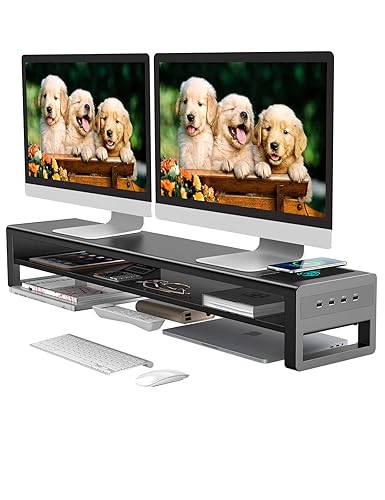 2 Tiers Dual Monitor Stand with Auto Charging Pad, 4 USB 3.0 Hub Ports, Double Monitor Riser, Metal Desk Stand with Storage, Long Screen Raiser for 2