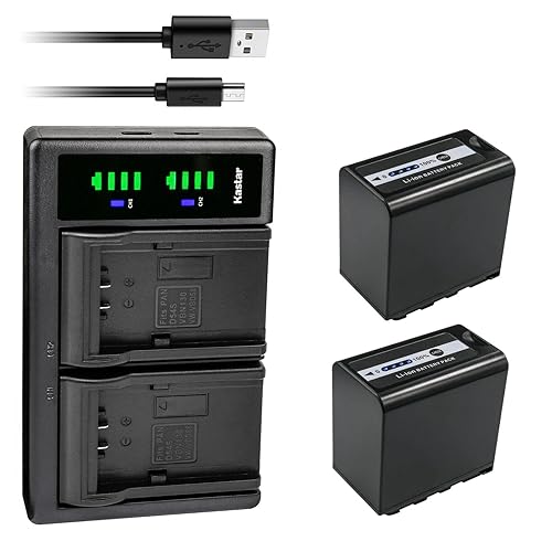 Kastar 2-Pack AG-VBR89G Battery and LTD2 USB Charger Compatible with Panasonic HC-X2 4K Camcorder, Panasonic HC-X20 4K Mobile Camcorder