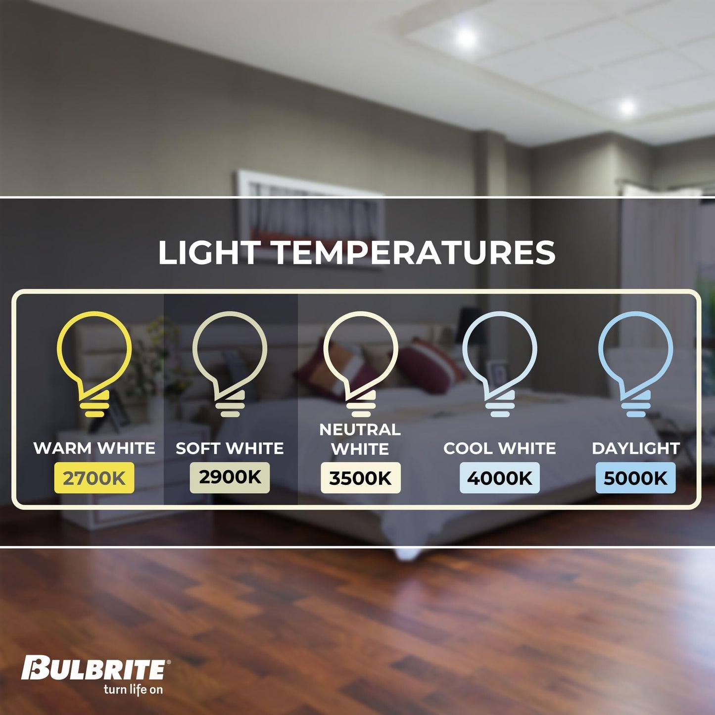 Bulbrite Halogen T8 Q100CL/EDT 120-Volt Halogen JDD Type Tubular Medium E26 Bulb, 100-Watt,Clear