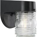Progress Lighting Polycarbonate Outdoor 1-Light Clear Lexan Traditional Outdoor Wall Light Textured Black