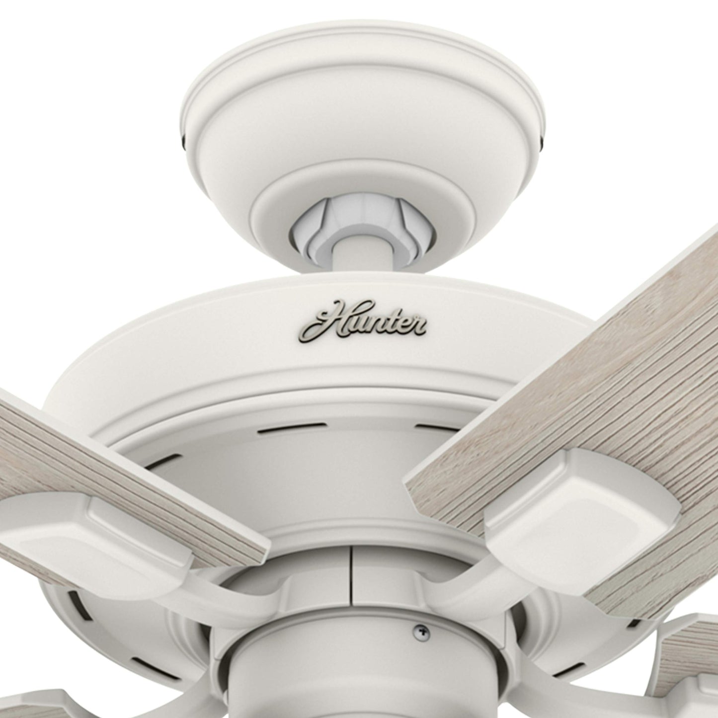 Hunter Fan 52 inch Matte White Indoor Ceiling Fan with Light Kit (Renewed)