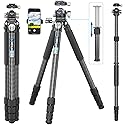 Carbon Fiber Heavy Duty Tripod WEYLLAN 81'' Professional Tripods for Camera, 10-Layer Carbon Fibre Tube, 32.5mm Leg with Low Profile Tripod Ball Head