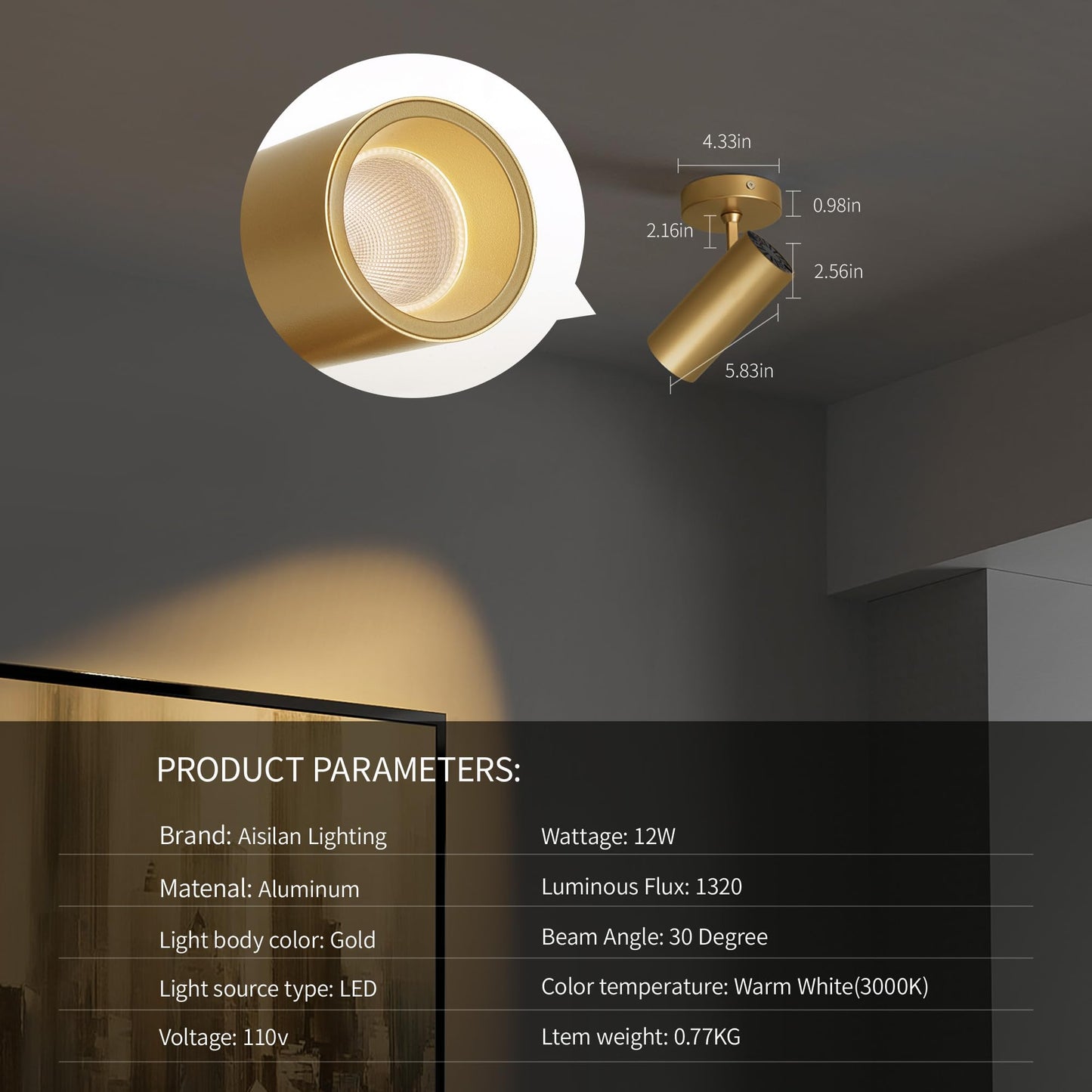 Aisilan 12W LED Ceiling Spotlight, Adjustable Directional Surface Flush Mount Lighting, Wall Spot Lights Indoor Accent Fixture for Art Picture Gallery