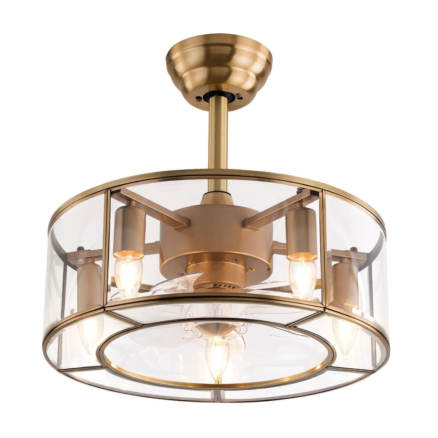 FTUREPAC 2-in-1 Caged Ceiling Fan with Lights Remote Control, Rustic Farmhouse Ceiling Fan with Light & six gears of wind speeds,Industrial Bedroom
