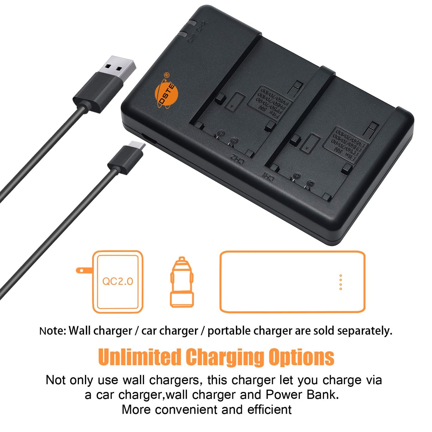DSTE 2-Pack NP-FP50 NP FP50 Battery + Rapid Dual Battery Charger Compatible with Sony DCR-HC30 DCR-HC40 DCR-HC65 DCR-SR30 DCR-SR60E DCR-SR80E NP-FP30