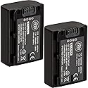 BM Premium 2-Pack of NP-FV50 Batteries for Sony FDR-AX53, HDR-CX675/B, HDR-CX455/B, HDR-CX190, HDR-CX200, HDR-CX210, FDR-AX33, HDR-PJ670 Handycam