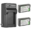 Kastar 2-Pack Battery and AC Wall Charger Replacement for Panasonic PV-DV900, PV-DV901, PV-DV910, PV-DV951, PV-DV952, PV-DV953, PV-GS2, PV-GS9