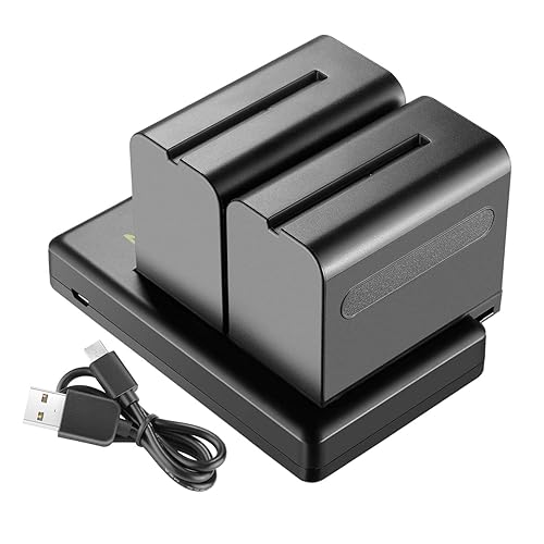 Neewer 2-Pack 6600mAh Li-ion Battery with USB Charger for Sony NP-F550 570 750 770 970 960 975,Sony Handycams,NW CN160 CN-216 LED Light,NW 759 74K 760