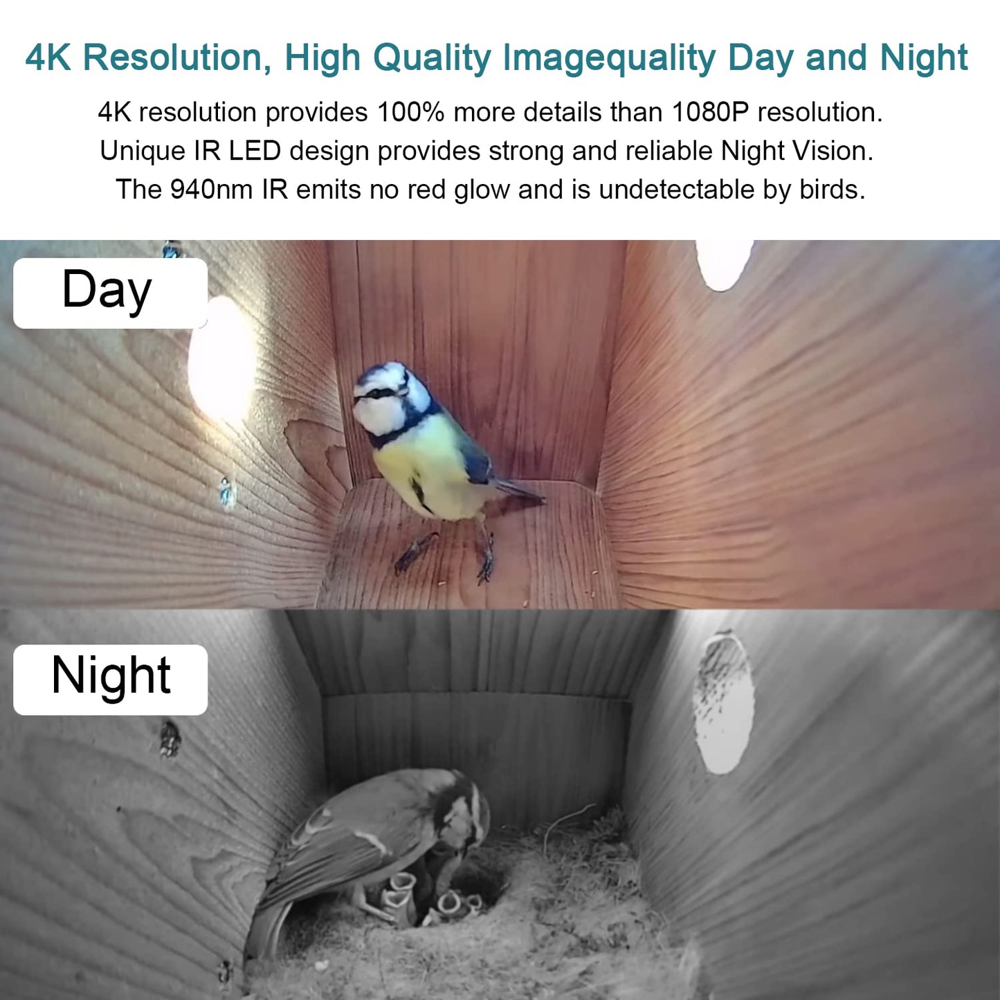 WIWACAM WiFi Bird Box Camera, 4K HD WLAN, Live Video to Phone, Easy Installation to Most of Bird Box Bird House Birdhouse Feeders Nesting, for Robins