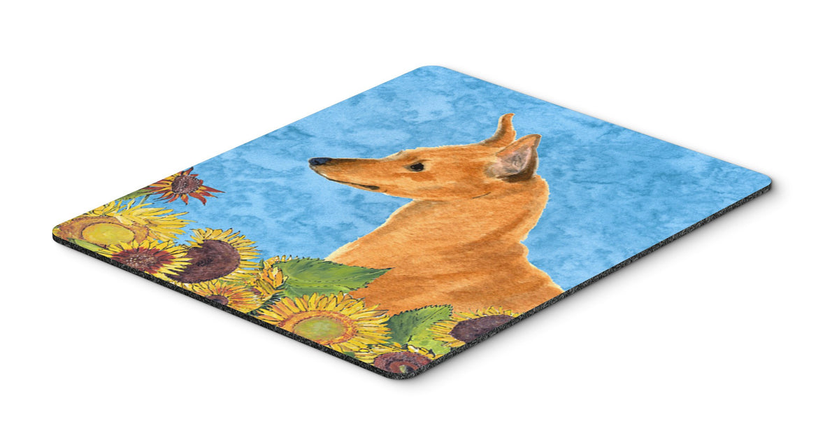 Caroline's Treasures SS4235MP "Min Pin in Summer Flowers Mouse Pad, Hot Pad or Trivet" for Home Office Gaming Working Computers Laptop Mouse