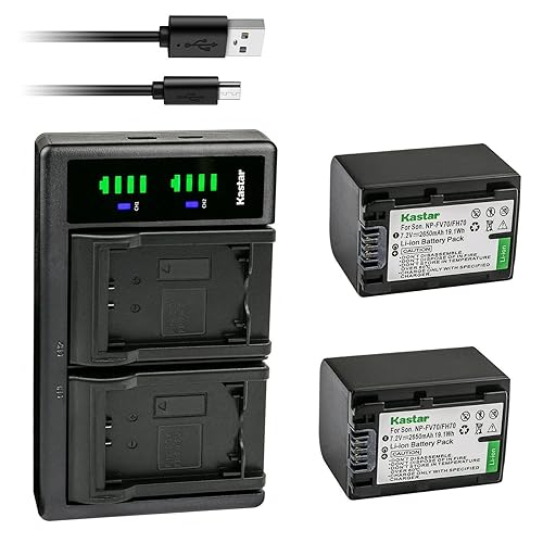 Kastar 2-Pack Battery and LTD2 USB Charger Replacement for Sony HDR-TD30, HDR-XR150, HDR-XR155, HDR-XR160, HDR-XR260, HDR-XR350, HDR-XR350VE, Andoer