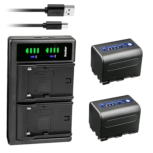 Kastar 2-Pack NP-QM71D Battery and LTD2 USB Charger Compatible with Sony CCD-TRV108 CCD-TRV116 CCD-TRV118 CCD-TRV126 GV-D1000 GV-D1000E Video