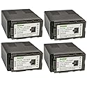Kastar 4-Pack VW-VBG6 Battery Replacement for Panasonic VW-VBG6 VW-VBG6GK VW-VBG6-K VW-VBG6PPK CGA-E625 Battery, DE-A38, VSK0631, VSK0698 Charger