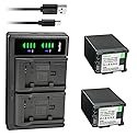 Kastar 2-Pack Battery and LTD2 USB Charger Replacement for Canon BP-820 BP820, BP-828 BP828 Battery, Canon CG-800 CG800 Charger, Canon VIXIA HF G50