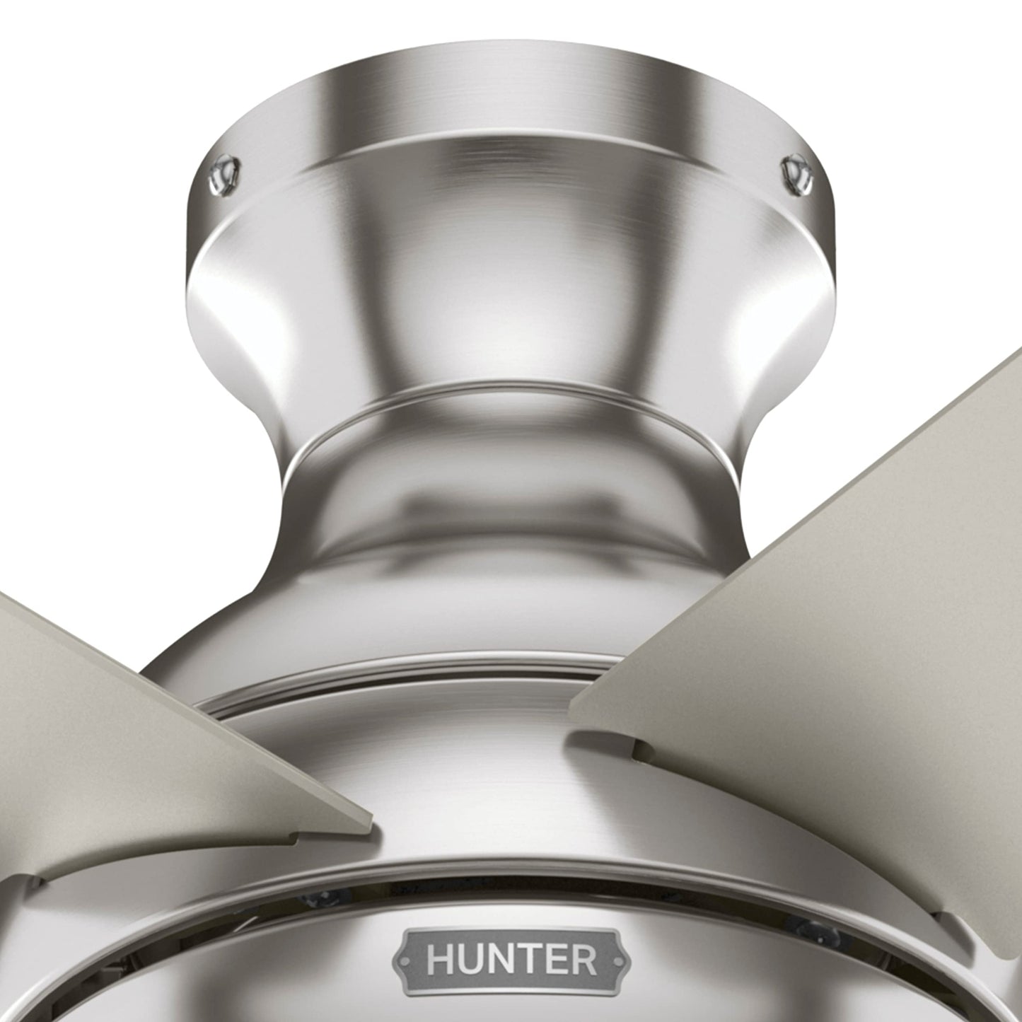 Hunter Fan 44 inch Low Profile Brushed Nickel Indoor Ceiling Fan with Light Kit and Pull Chain (Renewed)