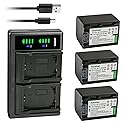 Kastar 3-Pack Battery and LTD2 USB Charger Replacement for Sony HDR-CX130, HDR-CX150, HDR-CX155, HDR-CX160, HDR-CX180, HDR-CX190, HDR-CX200