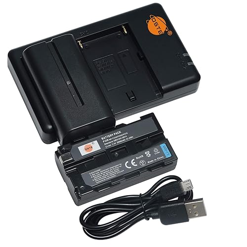 DSTE Replacement for 2X NP-F550 Battery + Rapid Dual Battery Charger with Micro USB Cable Compatible Sony CCD-RV100 Camera CN-160 CN-216 CN-304 YN 300