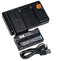 DSTE Replacement for 2X NP-F550 Battery + Rapid Dual Battery Charger with Micro USB Cable Compatible Sony CCD-RV100 Camera CN-160 CN-216 CN-304 YN 300