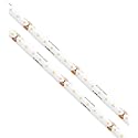 Trulux STLHD-WW-16 High-Density Tape Light Attached 3-Foot Lead Wire, Warm White 3000K CCT, 16.4ft Reel, cULus Listed Dry Locations STLHD Standard