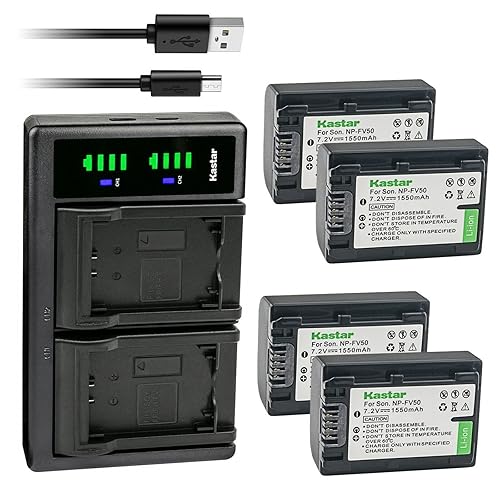Kastar 4-Pack Battery and LTD2 USB Charger Replacement for Sony HDR-CX350, HDR-CX360, HDR-CX370, HDR-CX380, HDR-CX390, HDR-CX400, HDR-CX410