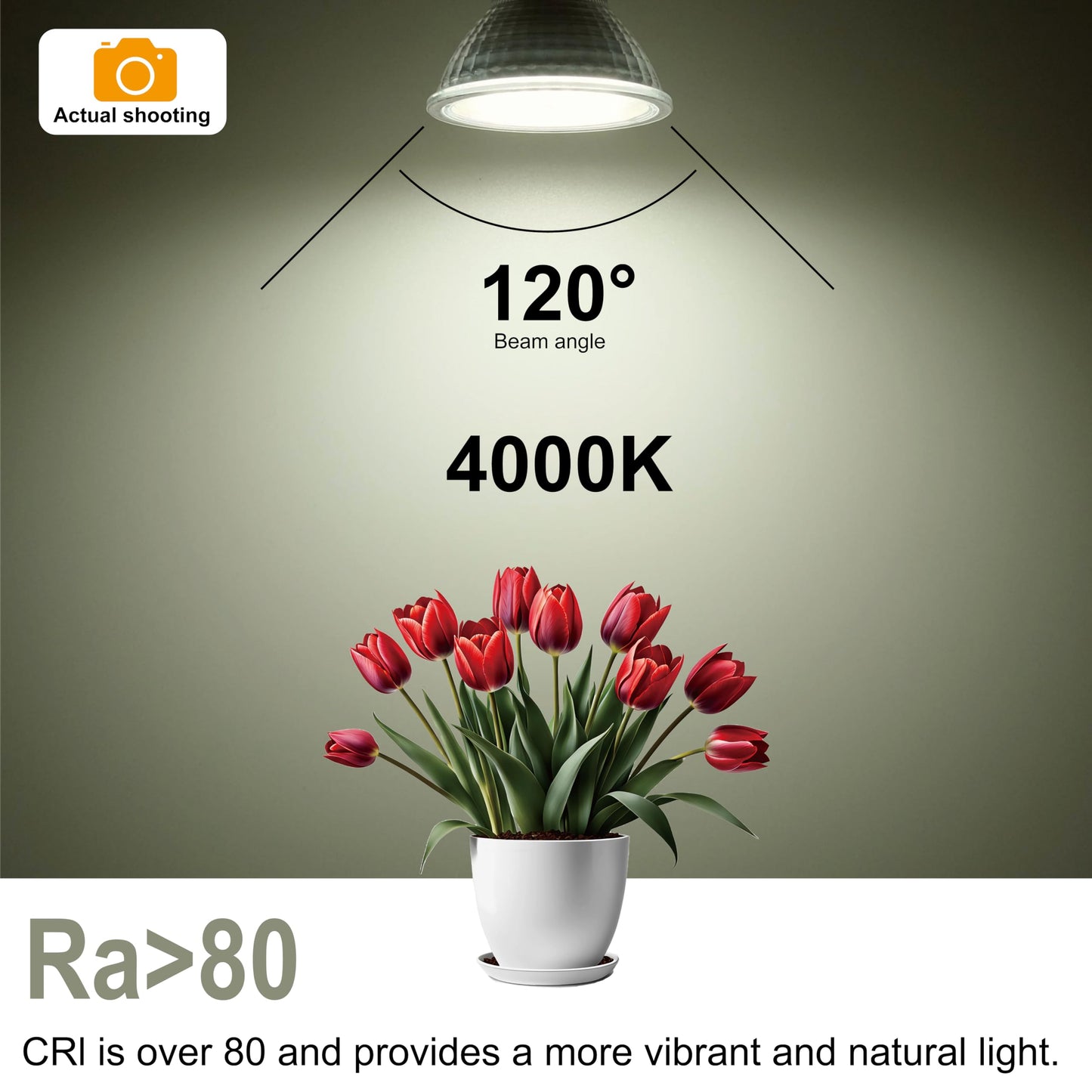 MR16 GU5.3 LED Bulbs 6W Replace 60W Halogen Equivalent 4000K Neutral White 485Lm, 12V Low Voltage Non-Dimmable 120° Flicker-Free Spotlight