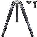 Carbon Fiber Tripod INNOREL RT90C Bowl Tripods Professional Heavy Duty Camera Stand with 75mm Bowl Adapter for DSLR Cameras Compatible with Ball Head