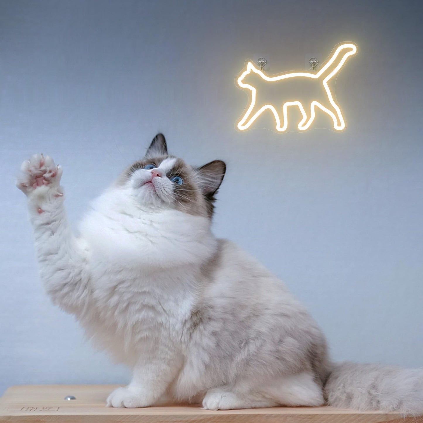 CoolGift Mart Cat Neon Sign, Cat Lamp Wall Decor, Dimmable Birthday Party Decorations for Home, Patio, Garden, Bars, Restaurants, Hotels, Stores