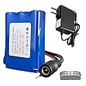 12V 1200mAh Rechargeable Li-ion Battery with Charger, Bare Leads Wire Battery Pack Perfect for DIY Project, Speakers, RC Car, Robot Toys, LED Light