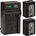 Big Mike's BM Premium Pack of 2 VW-VBK180 Batteries and Battery Charger for Panasonic HC-V10 HC-V100 HC-V500 HC-V700 Camcorder