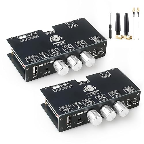 2PCS TW100U 100W Mono Bluetooth 5.3 Amplifier Board with TWS, TPA3116D2 Chip, DC 12-24V Input, Built-in Boost to 19V/24V, AUX/USB/Bluetooth Input