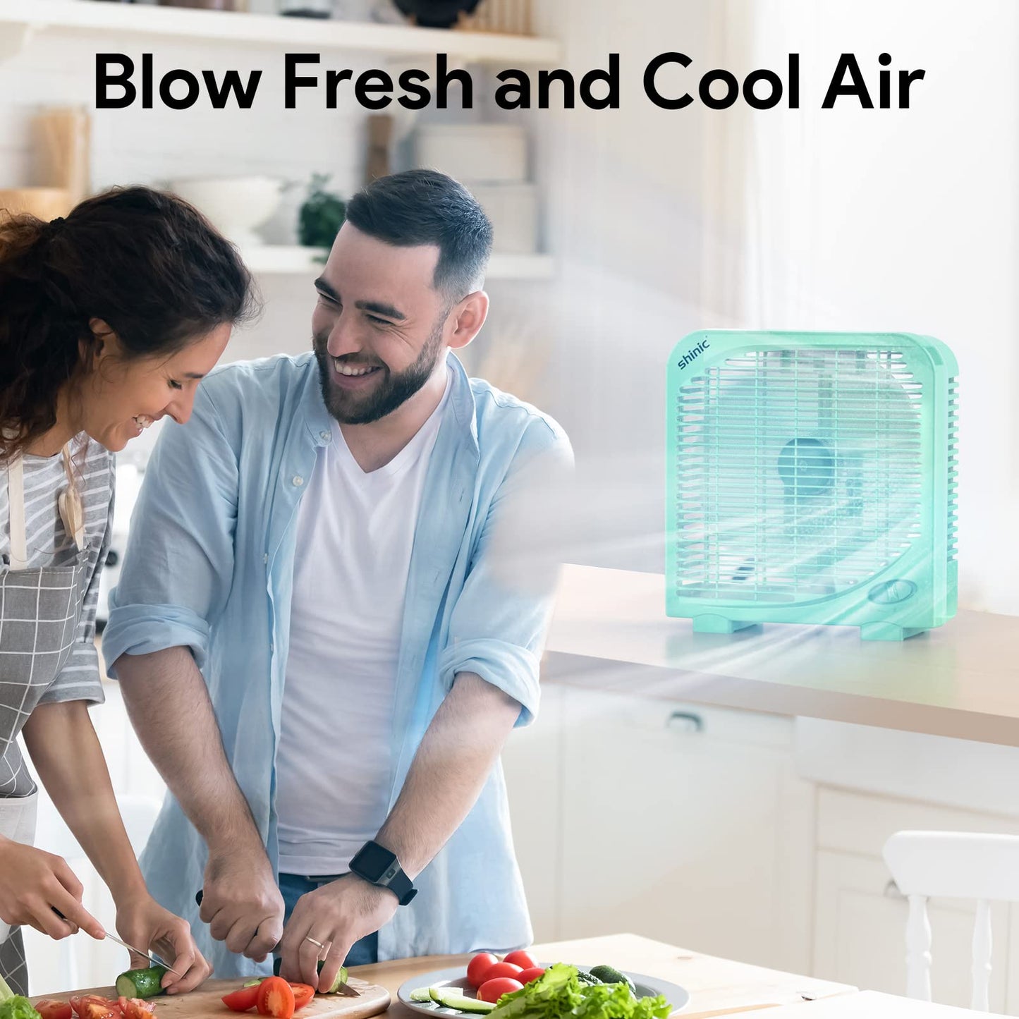 shinic 10" Tabletop Box Fan for Bedroom, 2 Speeds, Quiet Table Fan with Strong Airflow, Energy Efficient Small Box Fan, Portable Kitchen Exhaust Fan