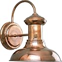 Progress Lighting P5721-14 Brookside Outdoor, 8-Inch Width x 9-3/4-Inch Height, Brown