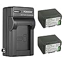 Kastar 2-Pack CGR-D28 Battery and AC Wall Charger Replacement for Panasonic PV-DV200, PV-DV200K, PV-DV201, PV-DV202, PV-DV203, PV-DV221, PV-DV351
