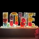 Sleeping Piggy Handmade Floral Resin Dried Roses Night Light Pressed Dry Flower Lights Lamp Gifts for Women Girls Bedroom Decor