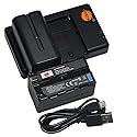 DSTE 2pcs NP-F750 Battery + Rapid Dual Battery Charger Compatible with Sony CCD-TRV215 CCD-TR917 CCD-TR315 HDR-FX1000 HDR-FX7 HVR-V1U HVR-Z7U HVR-Z5U