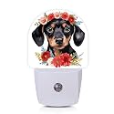 Axxitude Cute Dachshund Flowers Night Lights Plug into Wall for Girls Boys Room,Night Light LED Lamp Dusk to Dawn Sensor Round Lamp for Bedroom