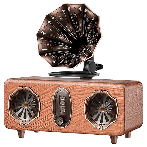 FREEFISH Retro Bluetooth Speaker Retro Radio with 5.4 Bluetooth Version, FM Radio, Bass Vintage Wireless Speaker Support USB/TF/AUX Player for Home