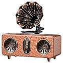 FREEFISH Retro Bluetooth Speaker Retro Radio with 5.4 Bluetooth Version, FM Radio, Bass Vintage Wireless Speaker Support USB/TF/AUX Player for Home