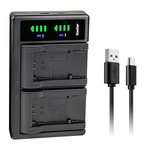 Kastar LTD2 USB Battery Charger Replacement for JVC Everio GZ-MG980 GZ-MG980-A GZ-MG980-R GZ-MG980-S, Everio GZ-MS110 GZ-MS110BEK GZ-MS110BEU