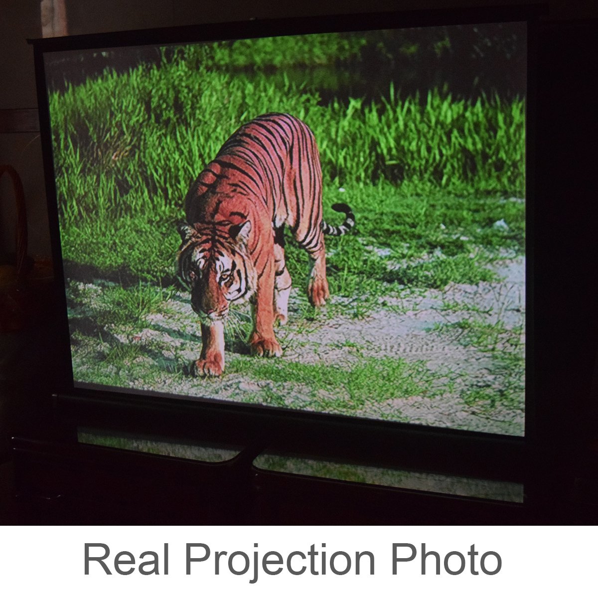 Cocar P1-SN40 40 inch Portable Projection Screen for Mini/Professional LED/LCD/DLP Projector Self Standing Pull-Out Style Indoor Outdoor Home Cinema