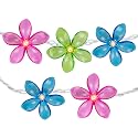 Northlight Flowers Indoor Outdoor Patio Light Set - 9' White Wire - 10ct