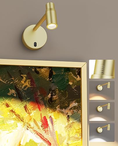 Zoomable Picture Light for Wall, Battery Operated Art Light for Paintings CCT Dimmable Spotlight for Wall Art Wall Light with Remote Control