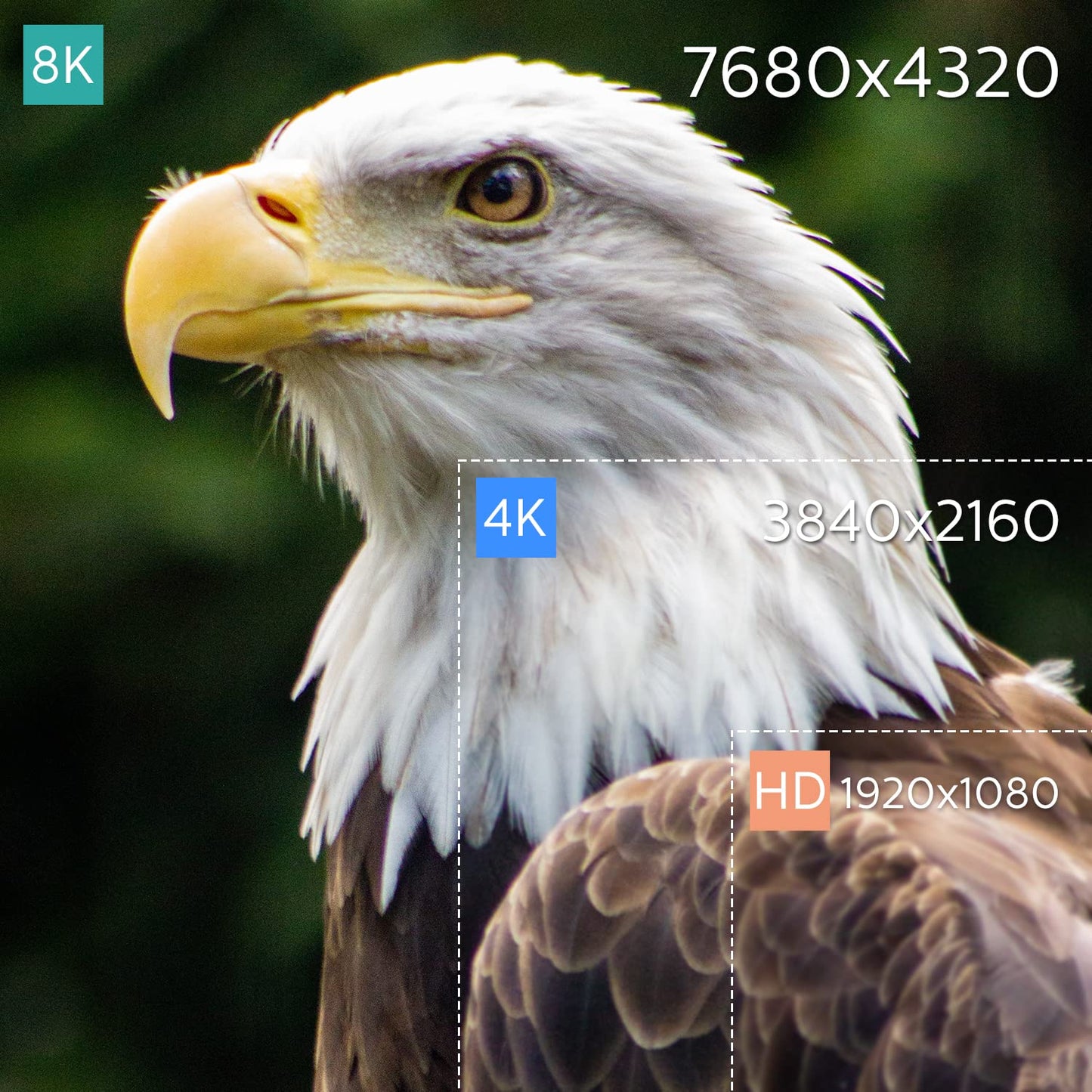 P4 Premium 8K HDMI 2.1 Cable - 6.6ft Braided Cord, Certified High Speed, 8K@60Hz, 4K@120Hz - eARC, HDCP 2.2&2.3, HDR10+, Atmos - Compatible with Apple