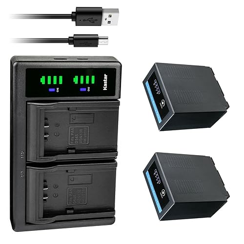 Kastar 2-Pack CGR-D54Pro Battery and LTD2 USB Charger Compatible with Panasonic CGA-D54 CGA-D54S CGA-D54SE CGA-D54SE/1B CGA-D54SE/1H CGA-D54Pro