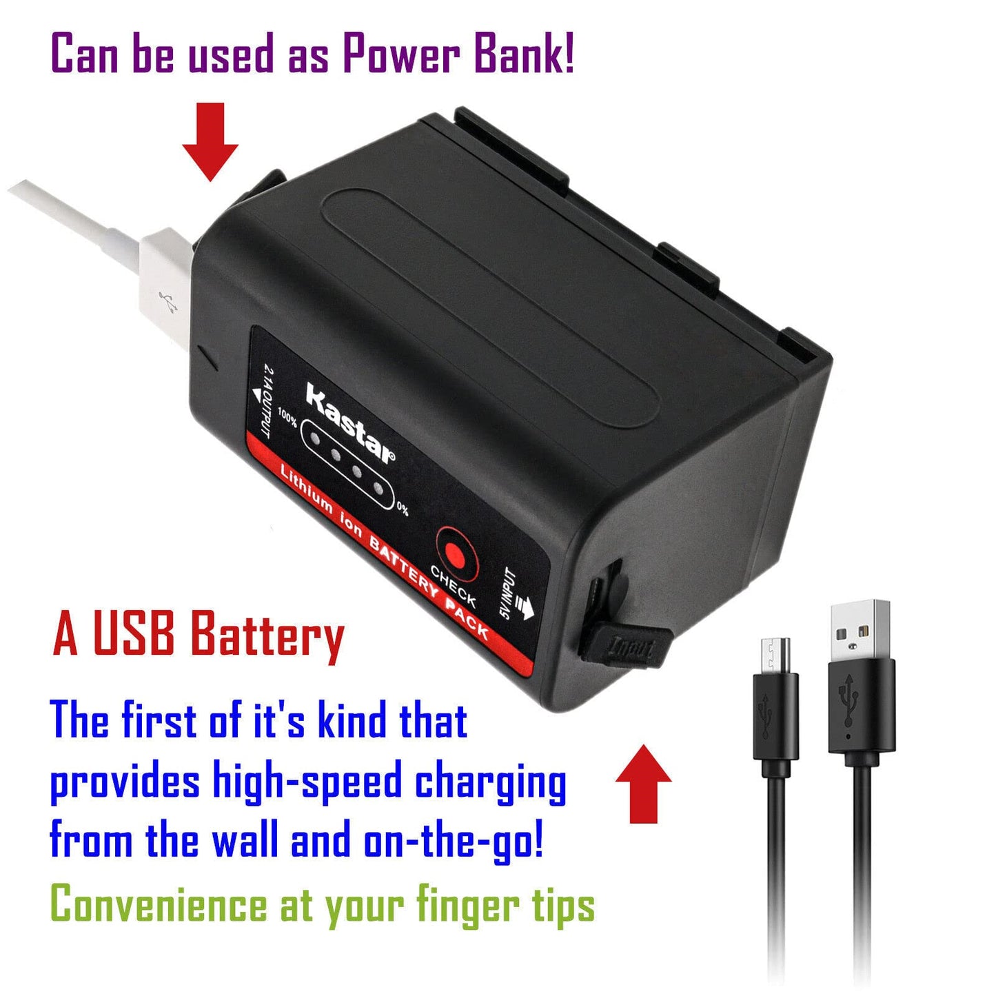 Kastar 2-Pack BP-950G Pro Battery and AC Wall Charger Replacement for Canon XL-1 XL-1S XL-2 XH-A1 XH-A1 HDV XH-A1S HD XH-A1SE HDV XM1 XM2 XV1 XV2 C2