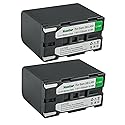 Kastar 2-Pack Battery Replacement for Samsung SB-L160 SBL160, SB-L320 SBL320, SB-L480 SBL480, SB-L110A SBL110A Battery, Samsung VP-W87 VP-W87D VP-W90