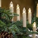 Wintergreen Lighting Set of 10 Flameless Electric LED Candles - Clip-On Christmas Tree Lights - Battery Operated, Remote Controlled, Dimmable