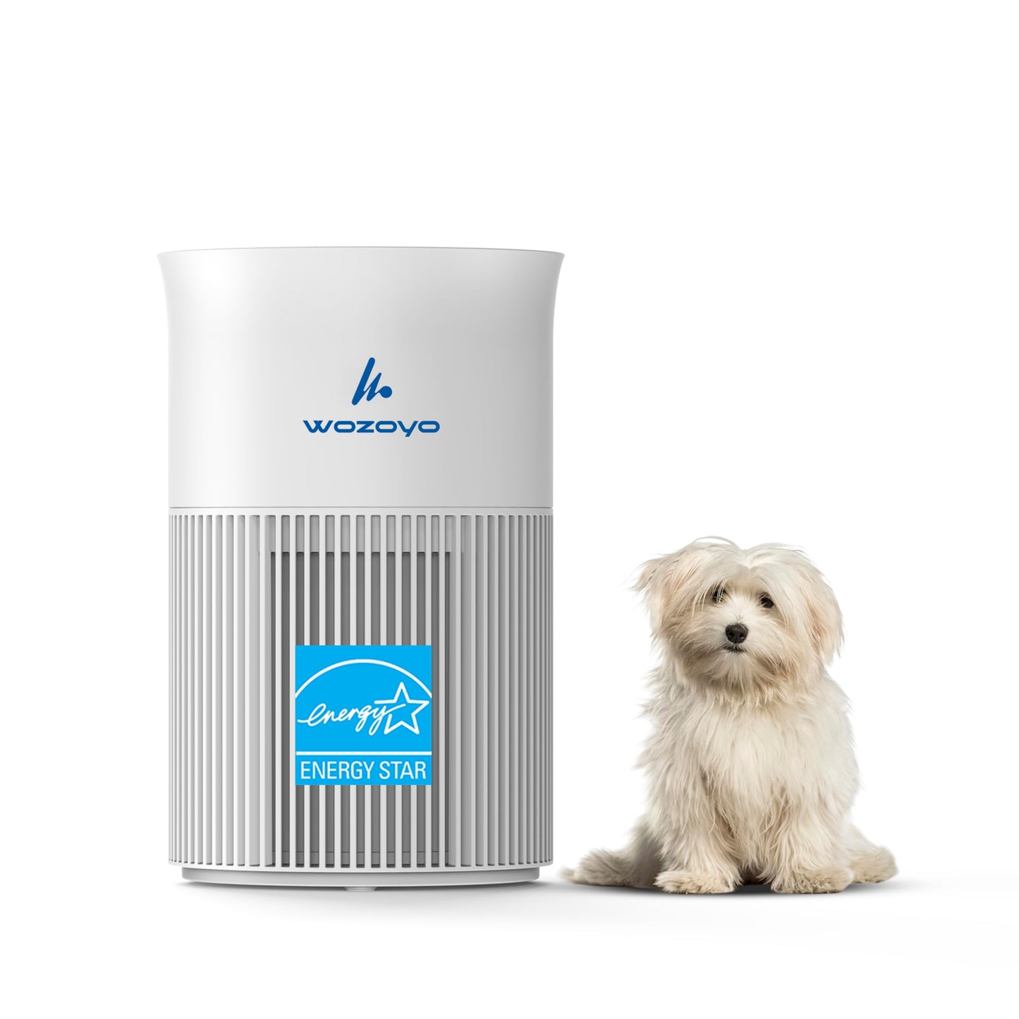 Pure Air PA1 Wozoyo Air Purifier For Bedroom Home, Office, Desktop, AHAM VERIFIDE, Covers Up To 300 ft², 3-in-1 HEPA Filter Cleaner With Aroma Pad